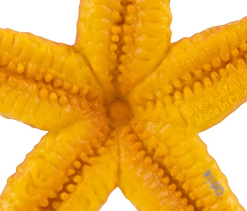 Safari Ltd Wild Safari Sea Life Starfish