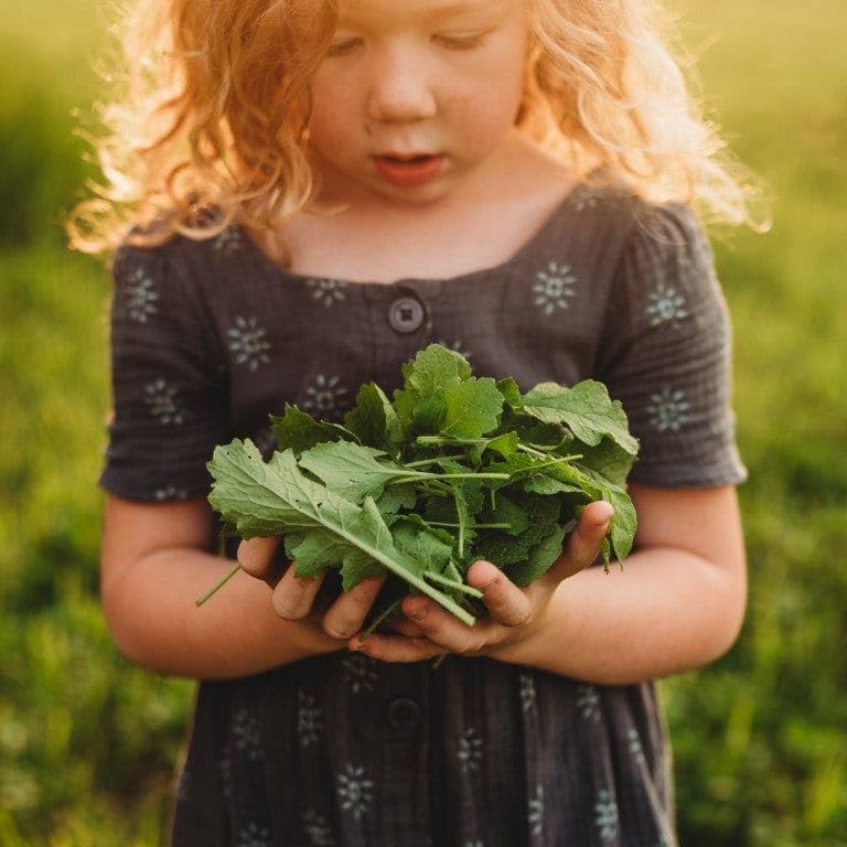 Seven Top Turnip Greens Seeds - 250 Non-GMO Heirloom, Cold Tolerant, Fast-Growing for Braising, Salads & Soups | Thresh Seed Co