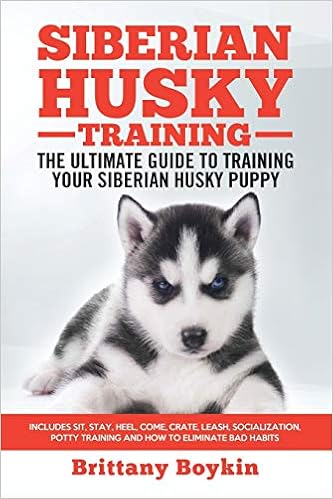 potty training husky