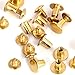 Round Flat Head Chicago Screws Buttons for Leather Crafting, 1/4 Inches (6mm) Repair Screw Post Fastener, Metal Nail Rivet Studs, Gold, 30 Sets, Diameter 5/16 Inches (8mm)