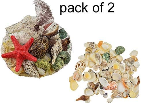 ZEVORA Pack of 2 Multi Colored Beautiful Natural Sea Shells for Aquariums/Art & Crafts/Home Decor/Table Decoration (700 GMS)