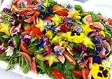 Edible Flower Mix of 12 Varieties 500+ Seeds Very Colorful Free Shipping
