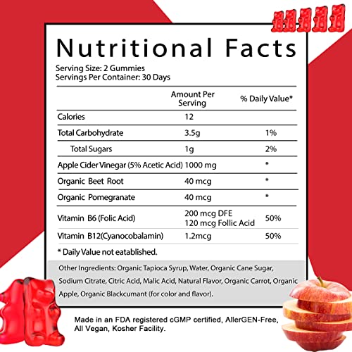 Yan Hou Tang Organic Apple Cider Vinegar Gummies Vitamins for Belly Control Detox Cleanse Support with Vitamin B6 B12 (120 Count 2 Pack)