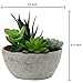 MyGift Decorative Artificial Succulent Plant Arrangement with Oval Gray Pot