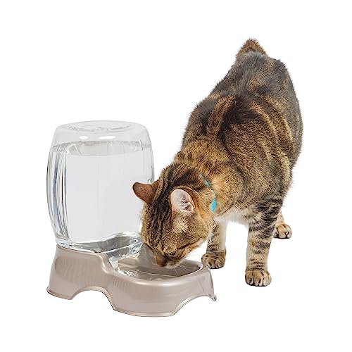 Petmate Pet Cafe Waterer Cat and Dog Water Dispenser 4 Sizes, Made in USA