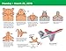 Paper Airplane Fold-a-Day 2019 Calendar