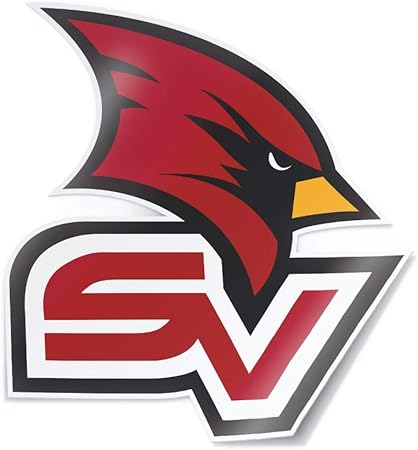 svsu web print
