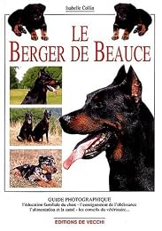 Le  berger de Beauce