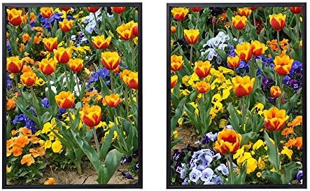 50x70cm X2枚 ライト高級 クリスタル磁器の装飾画 黒アルミ合金フレーム チューリップパンジー花花壇明るい公園 アートパネル 壁掛け絵画 インテリアアート 現代 壁飾り 部屋飾り 壁ポスター 絵画 玄関 おしゃれ モダン 壁掛け