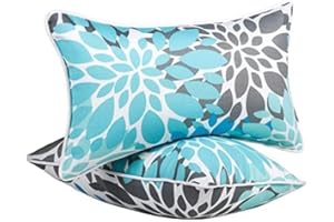 XXPILOS Outdoor Lumbar Pillows - Decorative Pillows with Insert Included Set of 2 Outdoor Pillows for Patio Furniture 12x20 Inch
