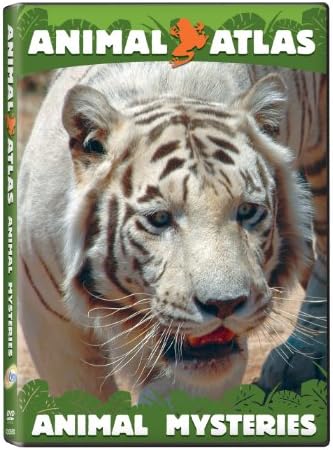 キッズ・ファミリー Animal Atlas Family Time DVD Amazon.com: Animal Atlas: Family Time : Artist Not Provided