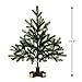 Hallmark Keepsake 2017 Miniature Keepsake Christmas Ornament Tree