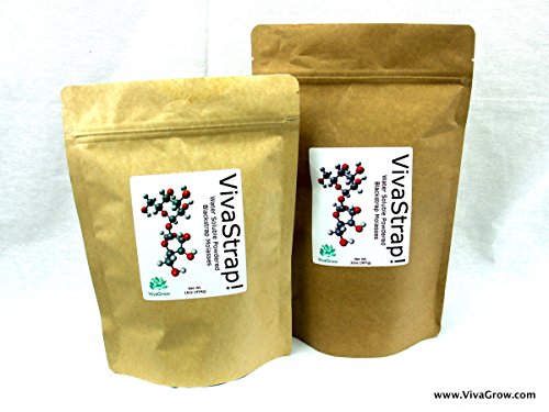 VivaStrap! Powdered Blackstrap Molasses Unsulphured Water Soluble 32oz