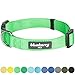 Blueberry Pet Essentials Small Dog Collar in Neon Green | Adjustable & Eco-Friendly Durable Nylon Strap | Classic Collar for Small Dogs, Boy & Girl Pets