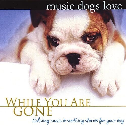 Bradley Joseph, Robbins Island Music - While You Are Gone: Music