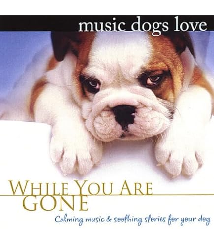 51FQh465BvL._AC_UL495_SR435,