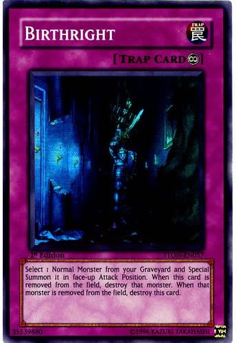 Yu Gi Oh : STON-EN057 1st Edition Birthright Ultimate Rare Card - ( Strike of Neos YuGiOh Single Card )