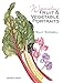 Watercolour Fruit & Vegetable Portraits