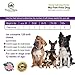 #1 Calming Treats for Dogs Anxiety, Stress Relief from Separation Anxiety, Natural Soft Chews & Calm Aid for Motion Sickness, Storms with Organic Hemp Oil, L-Tryptophan & Organic Chamomile |120 Soft