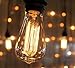 Kiven Vintage Edison Bulb Tungsten Wire - 110 Volts - Dimmable - 230 Lumens -2200K Warm Temperature Antique Light Bulb (60w)