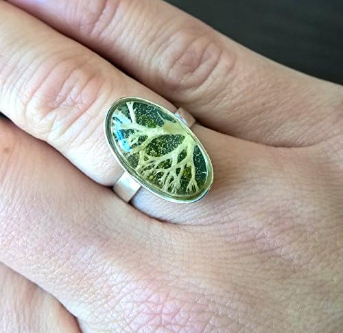 wooden style sterling silver ring with cabochon with real moss - terrarium sterling silver handmade ring natural plants sterling silver ring