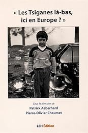 « Les Tsiganes là-bas, ici en Europe ? »