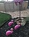 Pink Flamingo Lawn Ornaments - Plastic Pink Flamingos (3) Charity - Flamingo Decor
