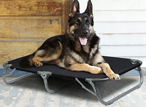 Large Elevated Pet Cot with Steel Frame - Foldable Raised Play and Rest Bed for Dogs and Cats with Bonus Storage Bag - 42" x 24" - by GigaTent - Thumbnail 4