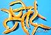 Tropical Series- Glazed Orange Peel Strips, 1 lb