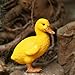 Urparcel Resin Duck figures Garden decoration,Outdoor statue,Yard decoration (a pair)