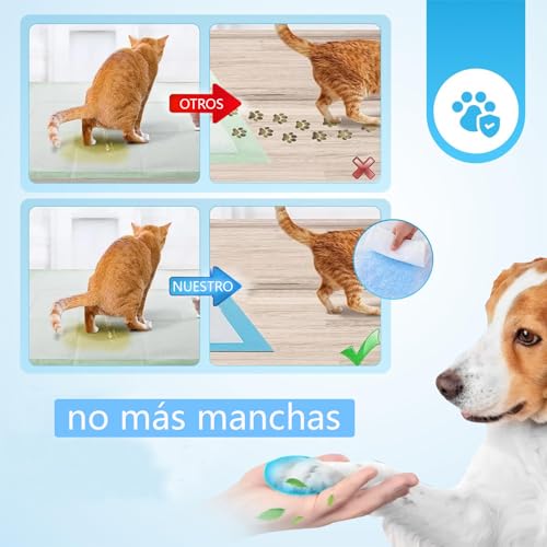 LICHENXI Almohadillas Desechables para Entrenamiento de Mascotas y Almohadillas para Orinal para Mascotas, súper absorbentes y a Prueba de Fugas, Perros, Gatos, Conejos (60x60cm (40 pcs))