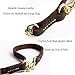 Jpettie Leather Dog Leash Training Leash Multi-Function Genuine Bridle Leather, Hands-Free Dog Leash/Walk P-Leash, Perfect for Small Large Medium Dog