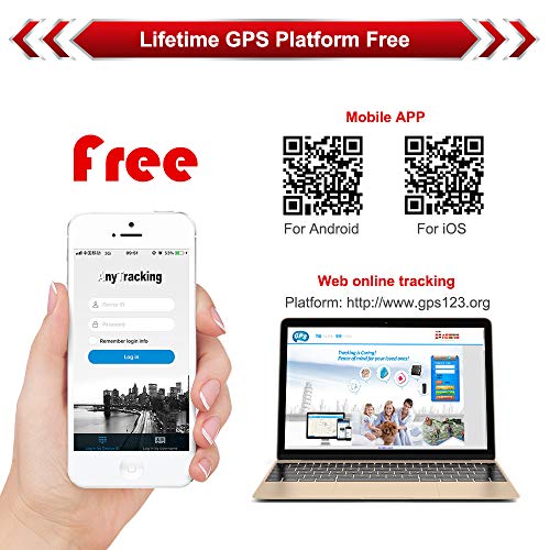 dog tracker without monthly fee