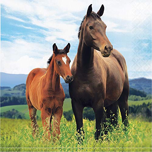 Horse and Pony Party Plates Napkins Cups and Table Cover (Serves-16) with Birthday Candles - Horse and Pony Party Supplies Pack Deluxe (Bundle for 16) - Thumbnail 3
