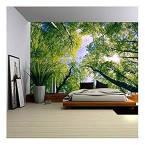 BRAND_NAMESky View from Below a Tree Forest Wall Mural