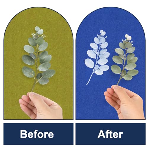 EIGTWEN 250ml Cyanotype Kit, Contains 2 Components for Sensitizing Solution for Paper and Fabric Photo Projects, Solar Printing Set for DIY Projects