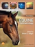 Equine Ophthalmology