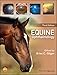 Equine Ophthalmology