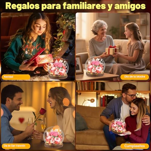 Comius Sharp Preserved Natural Eternal Rose, Eternal Rose with LED Lights, Bouquet Flowers in Glass Dome, Christmas Gifts Women Mom, Valentine's Day Mother's Day Gift (B)