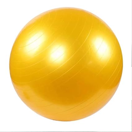 YLOVEK - Pelota de ejercicio con bomba, antiexplosión y ...