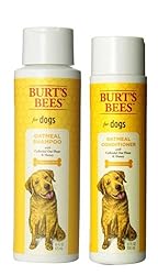 Burt's Bees For Dogs Dry Skin Shampoo & Conditioner Bundle: (1) Burt's Bees Oatmeal Shampoo With Colloidal Oat Flour & Honey (16 Oz.), and (1) Burt's Bees Oatmeal Conditioner With Colloidal Oat Flour & Honey (10 Oz.)