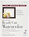 Strathmore Watercolor Paper Pack 11