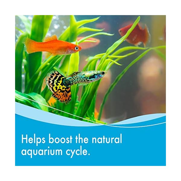 AQUARIAN Weekly Cleaner Water Conditioner, 118 ml (Pack of 1)