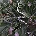 GIFTEXPRESS Life Like Snakes for Medusa Costume, Halloween Decoration and School Education