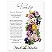 Package of 600 Seeds, Rococo Mixed Pansy (Viola germania) Open Pollinated Seeds by Seed Needs