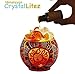 Himalayan CrystalLitez Himalayan Salt Lamp with UL Listed Dimmer Cord,Pure Salt Crystals in A Handcrafted and Glowing Artisan Bowl,Natural Air Purifier and Aromatherapy Salt Lamp (Bohemian Cat)