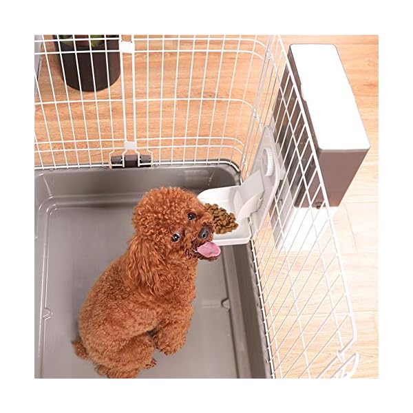 dog crate feeder