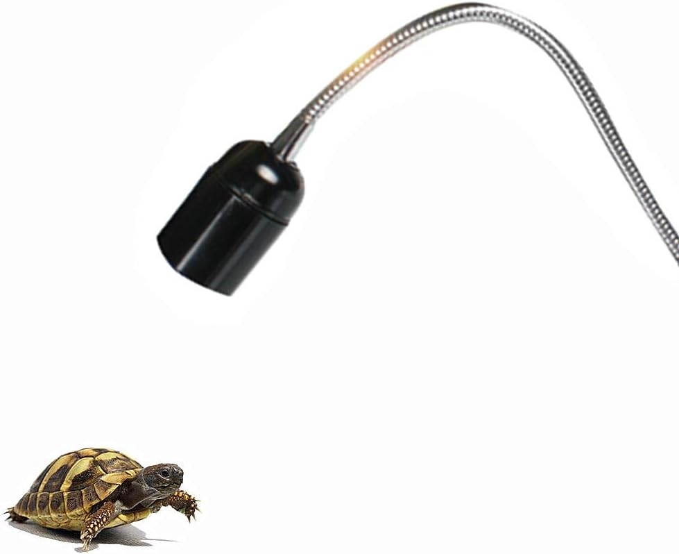 tortoise bulb