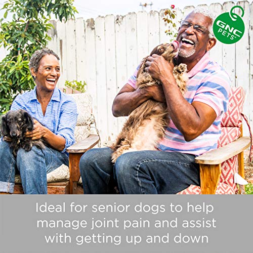 GNC Pets Ultra Mega Hip & Joint Health Chewable Tablets Dog Supplement