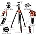 Neewer Aluminum Alloy 65 inches/165 Centimeters Tripod Monopod,360 Degree Ball Head,1/4 inch Quick Shoe Plate and Bubble Level for DSLR Camera,Camcorder,Load up to 33 pounds/15 kilograms(Orange)